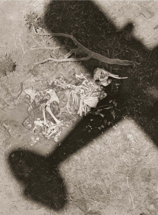 The End of the Game: The Last Word from Paradise Machine in the Garden, Tsavo, 1972-73<br /> Photo (c) Peter Beard