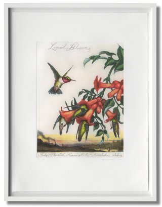 su walton ford art edn print framed