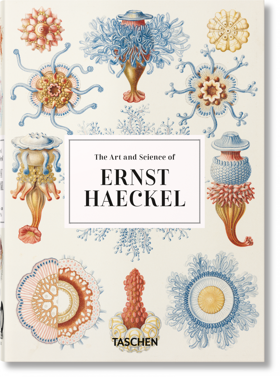 Ernst Haeckel 40th Anniversary Edition Taschen Books