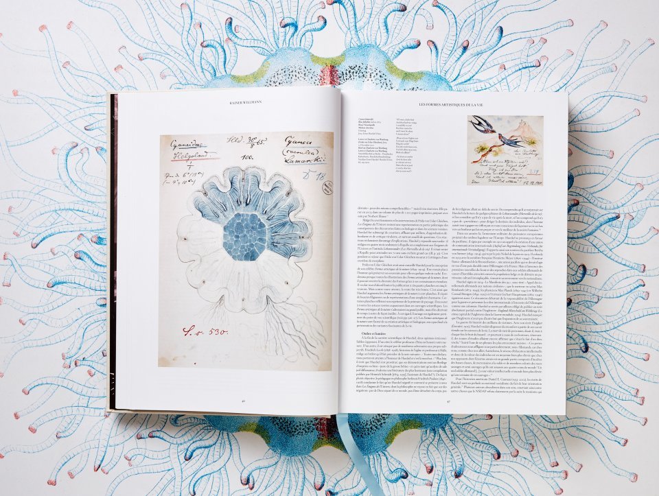 The Art And Science Of Ernst Haeckel Taschen Books 